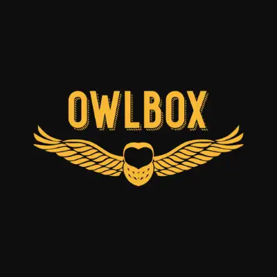 2013 - Hoot's That?<br> OwlBox is Born